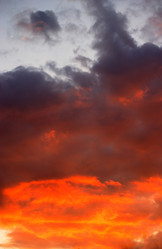 Similar image 21140295