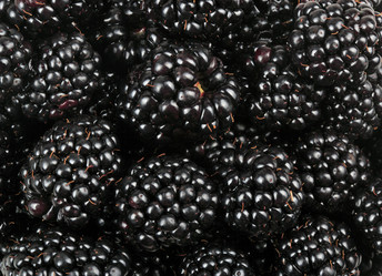 Similar image 21140302