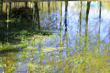 Similar image 21137492