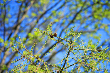 Similar image 21137495