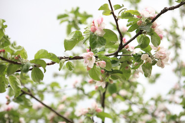 Similar image 21139759