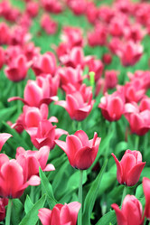 Similar image 21140330