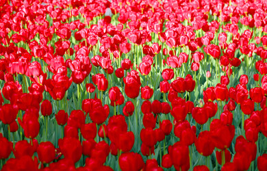 Similar image 21140331