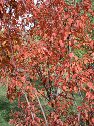 Similar image 21140333