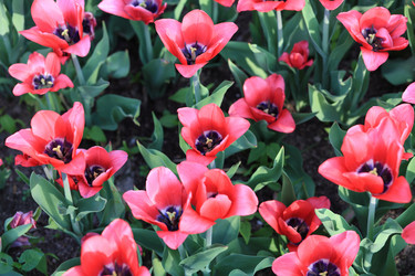 Similar image 21140335