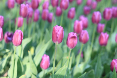 Similar image 21140337