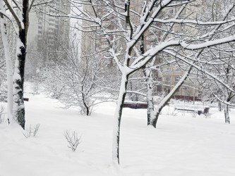 Similar image 21140339