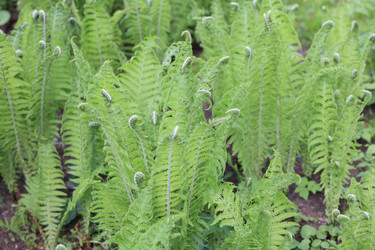 Similar image 21140340