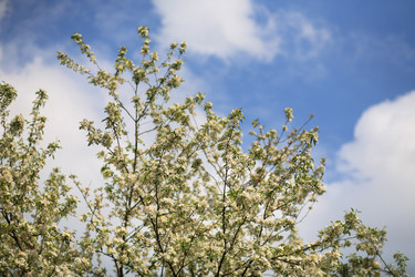 Similar image 21140349