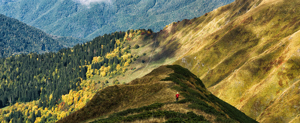 Similar image 21136583