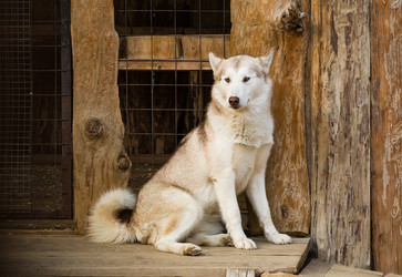 Similar image 21136588