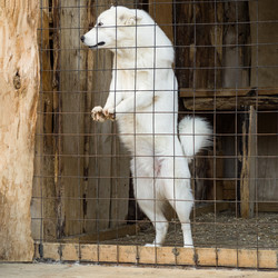 Similar image 21136589