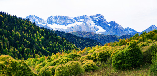 Similar image 21136598