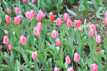 Similar image 21140359