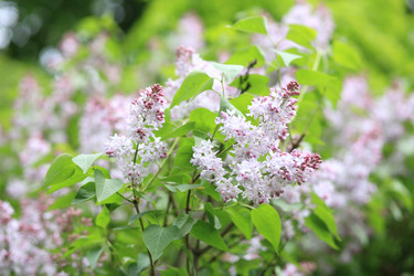 Similar image 21140712