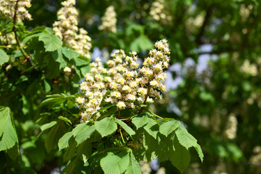 Similar image 21140715