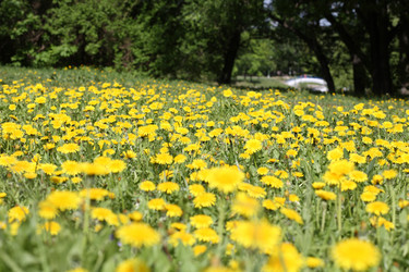 Similar image 21140717