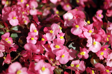 Similar image 21141101