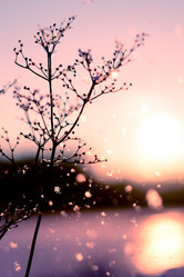 Similar image 21169878