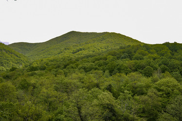 Similar image 21150229