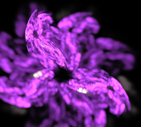 Similar image 21140392