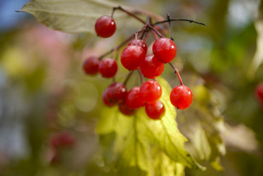 Similar image 21150230