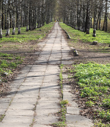 Similar image 21137509