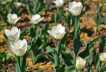 Similar image 21137513