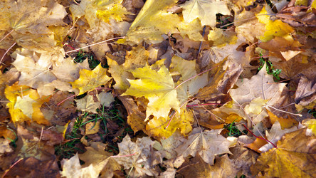 Similar image 21137515