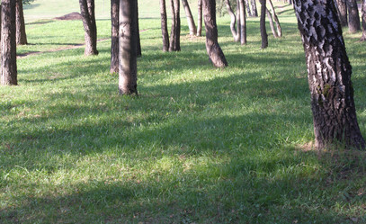 Similar image 21137518