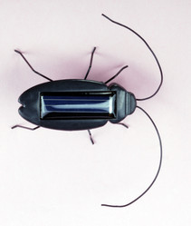 Similar image 21140432