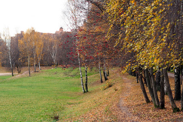 Similar image 21140437