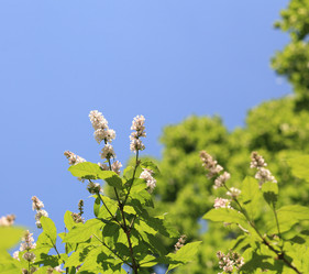 Similar image 21137528