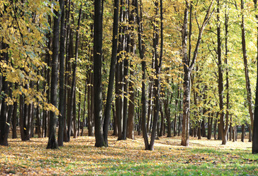 Similar image 21137536