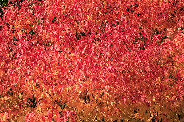 Similar image 21137538