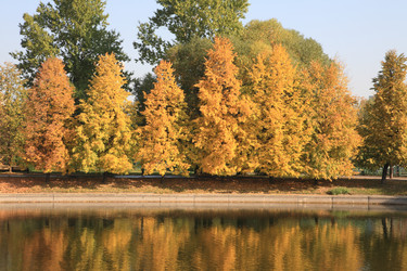 Similar image 21137540