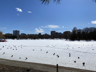 Similar image 21137546