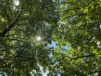 Similar image 21137552