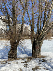 Similar image 21137553