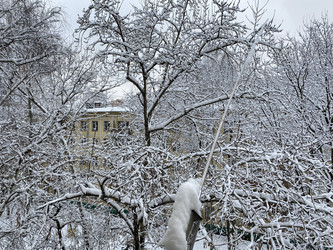 Similar image 21137555