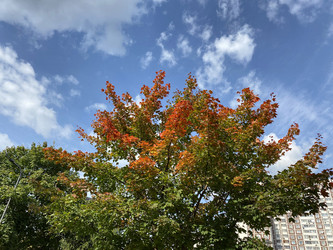 Similar image 21137560