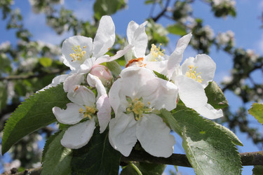 Similar image 21144296