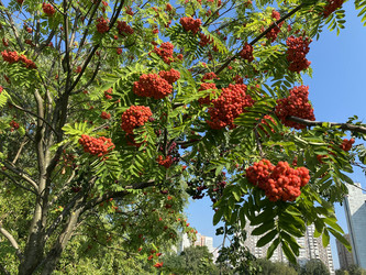 Similar image 21140443