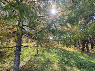 Similar image 21140450