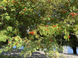 Similar image 21140451