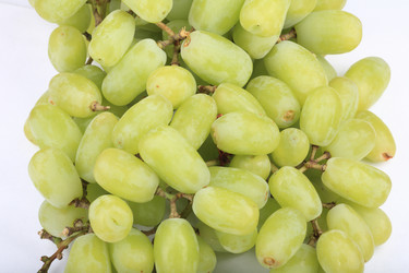 Similar image 21140456