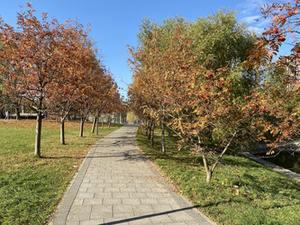 Similar image 21140459