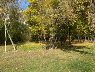 Similar image 21140466