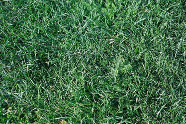 Similar image 21140467