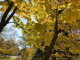 Similar image 21140468